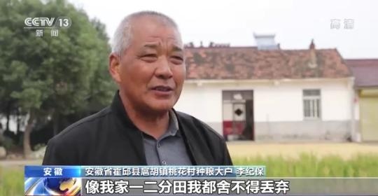 十八連豐！秋收近九成 我國(guó)糧食產(chǎn)能穩(wěn)步提升