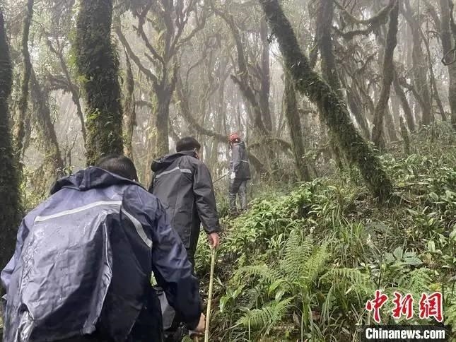圖為救援現(xiàn)場。鎮(zhèn)沅縣委宣傳部提供
