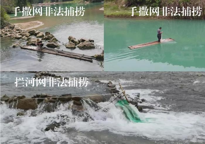 2021年9—10月，前期暗查發(fā)現(xiàn)，保護(hù)區(qū)核心區(qū)內(nèi)非法捕撈行為十分猖獗