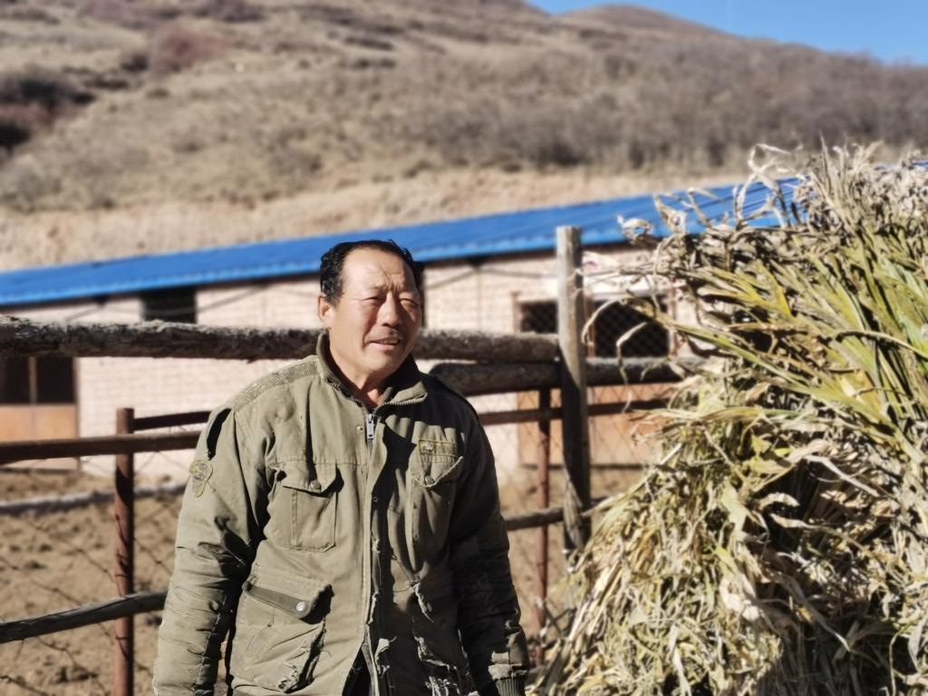 1月19日，山西省岢嵐縣脫貧戶呂如堂在牛圈前準備草料。新華社記者 梁曉飛 攝
