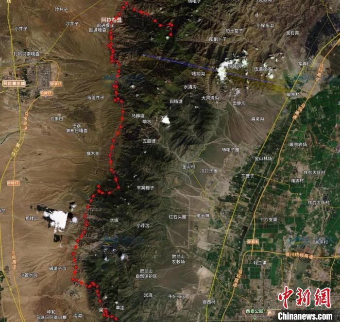 圖為雪豹在春節(jié)前后的活動軌跡。　內(nèi)蒙古賀蘭山國家級自然保護區(qū)供圖