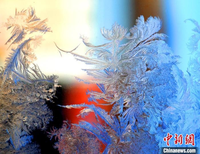 冰窗花千姿百態(tài)?！O書程 攝