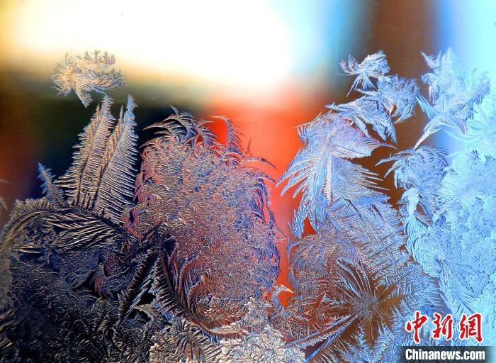 惟妙惟肖的冰窗花，似一幅風(fēng)景畫?！O書程 攝