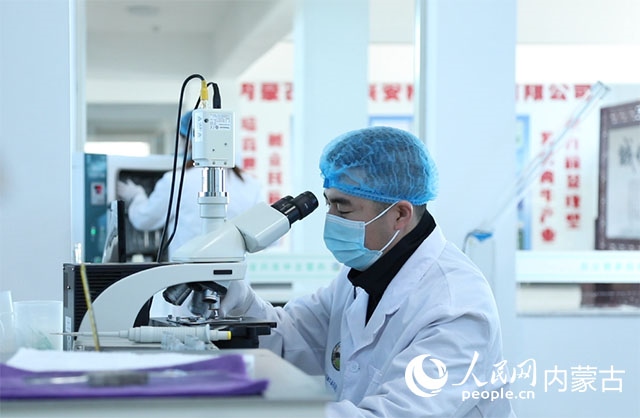 內(nèi)蒙古中農(nóng)興安種牛科技有限公司落戶(hù)科右中旗，為肉牛產(chǎn)業(yè)發(fā)展提供了優(yōu)質(zhì)的種源保障。白俊華攝