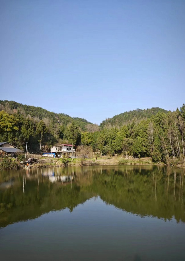 這樣在對面看，老家也算依山傍水.jpg