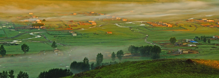在“螞蟻森林”項(xiàng)目區(qū)，群眾攜手共添新綠（攝影：刁博禹）.jpg