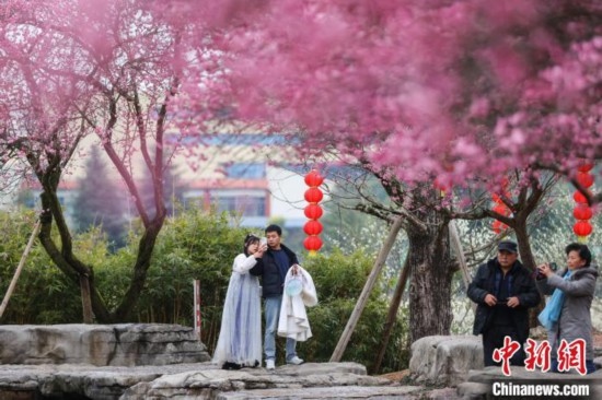2月23日，市民在乾藝梅園景區(qū)觀賞綻放的梅花。瞿宏倫 攝