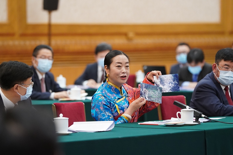 2021年3月7日，習近平總書記在參加十三屆全國人大四次會議青海代表團審議時，全國人大代表孔慶菊在會上展示了兩張照片，上面分別是祁連山地區(qū)多年不見蹤跡的雪豹和荒漠貓。