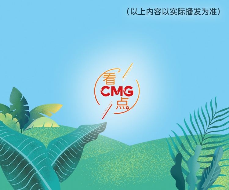 總臺(tái)周看點(diǎn)，來了！