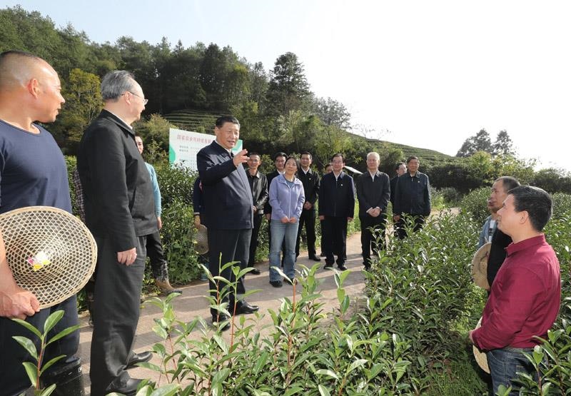 2021年3月22日，習(xí)近平總書(shū)記在福建南平武夷山市星村鎮(zhèn)燕子窠生態(tài)茶園，同科技特派員、茶農(nóng)親切交流，了解當(dāng)?shù)夭璁a(chǎn)業(yè)發(fā)展情況。