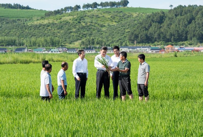 2015年7月16日，習(xí)近平總書(shū)記在吉林延邊州光東村稻田同村民和農(nóng)技人員交流。