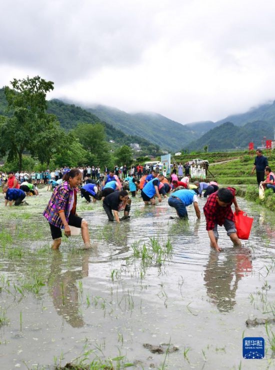 5月27日，秭歸縣九畹溪鎮(zhèn)農(nóng)民參加摸魚比賽。