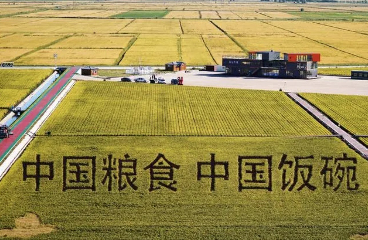2022年9月2日，黑龍江省富錦市萬(wàn)畝水稻科技示范園內(nèi)的稻田畫(huà)。
