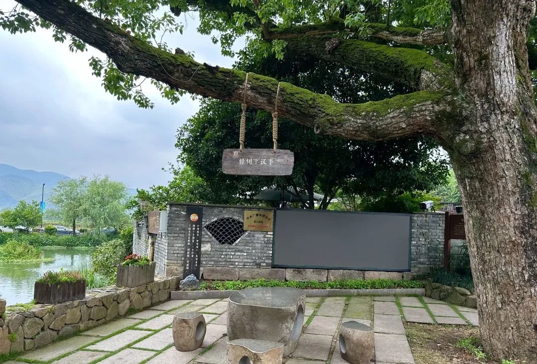 浙江省杭州市余杭區(qū)小古城村的“樟樹(shù)下議事”木制字牌。靜玄 攝