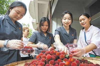 志愿者和村民一起將摘下的楊梅裝進(jìn)食品盒里。