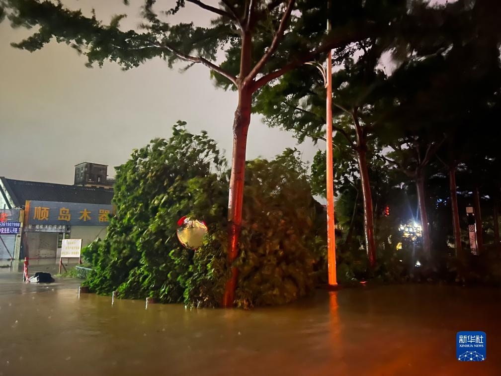7月17日晚，在廣東湛江海濱大道北，路邊的樹木被風(fēng)刮倒（手機照片）。新華社記者 鄧華 攝