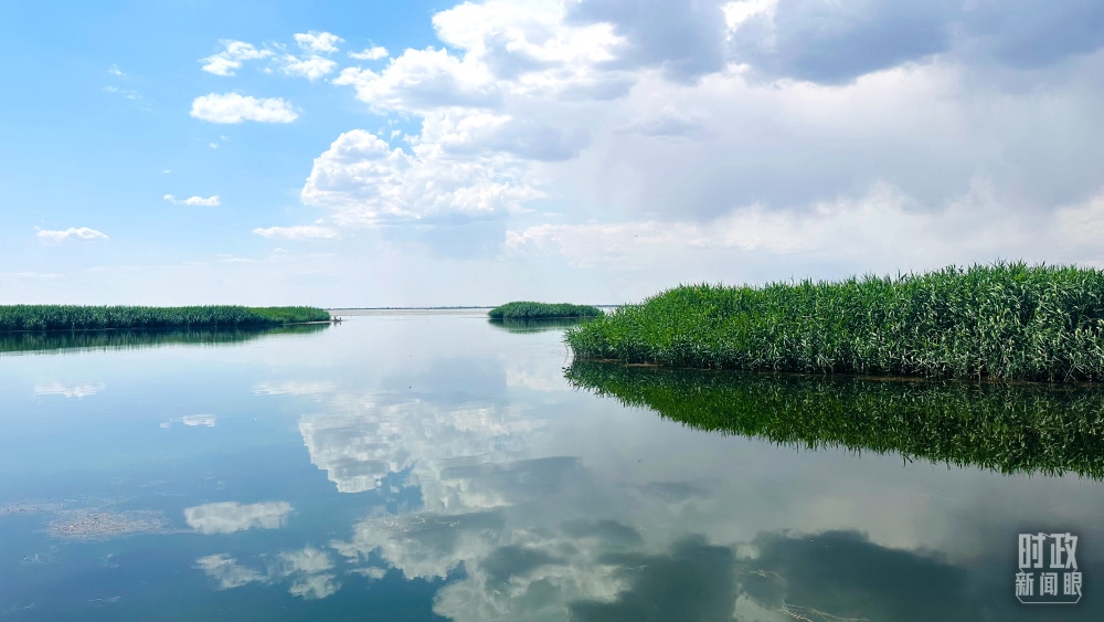內(nèi)蒙古烏梁素海，是黃河流域最大的湖泊濕地。（總臺(tái)央視記者范一鳴拍攝）