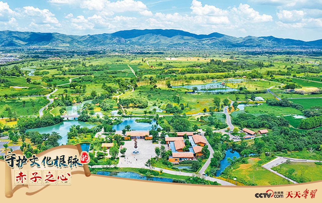 圖為2021年7月拍攝的良渚古城遺址公園。