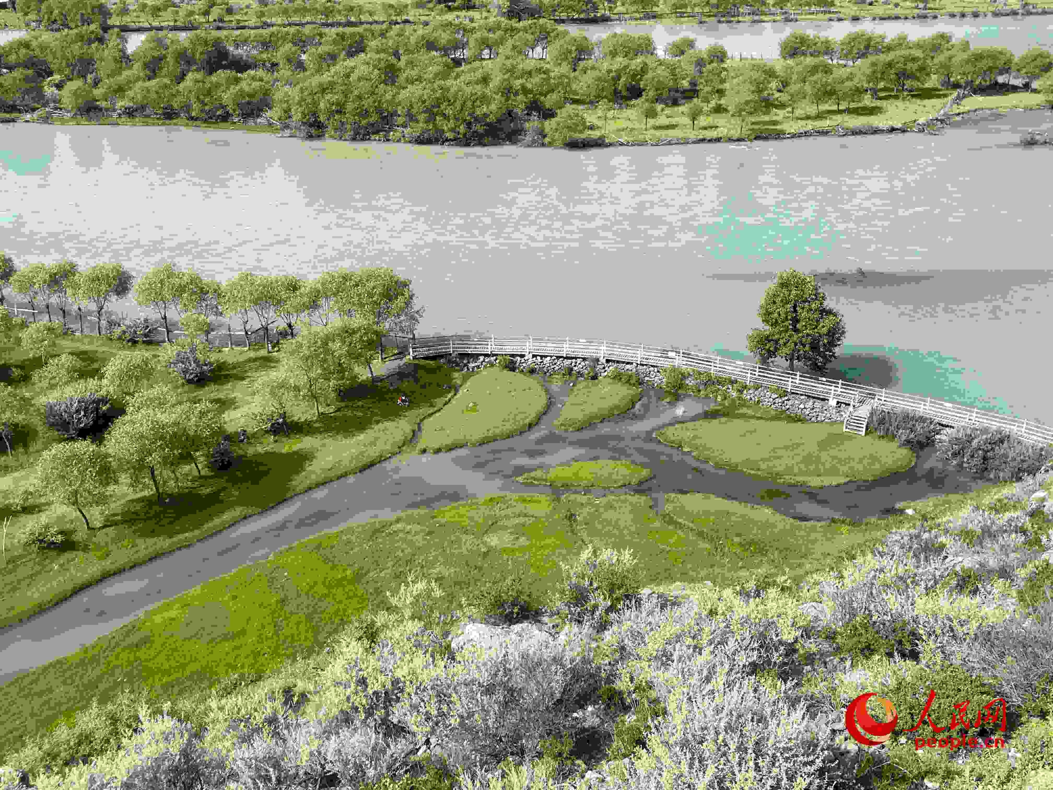 夏日的雅尼國家濕地公園生機盎然，如詩如畫。人民網(wǎng) 周靜圓攝