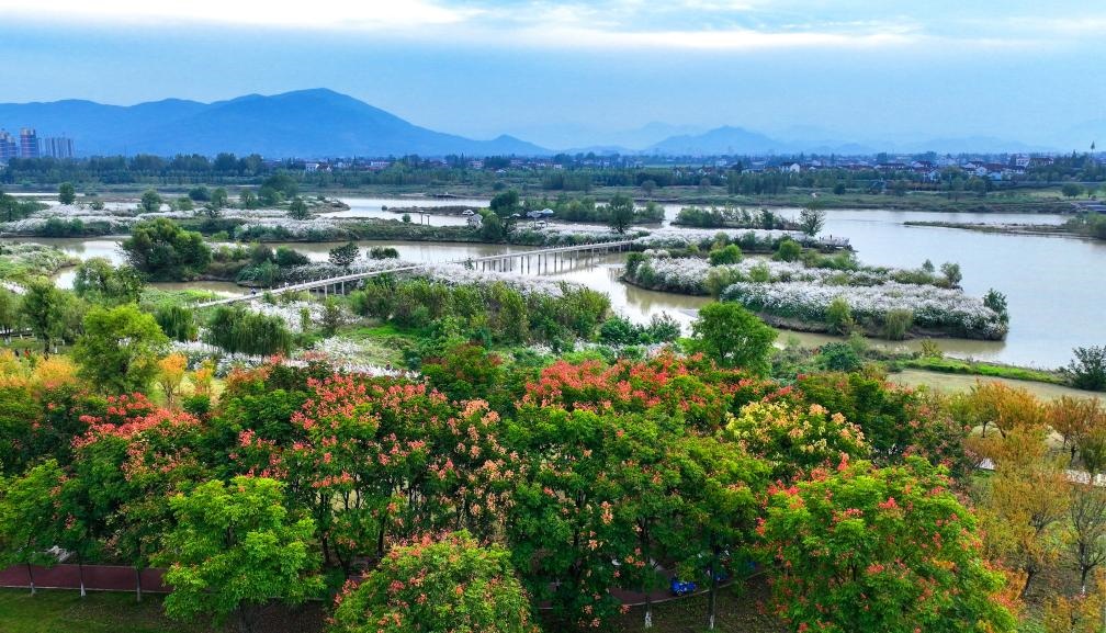 2022年10月11日拍攝的天漢濕地公園景色。新華社發(fā)（宋曉麗 攝）