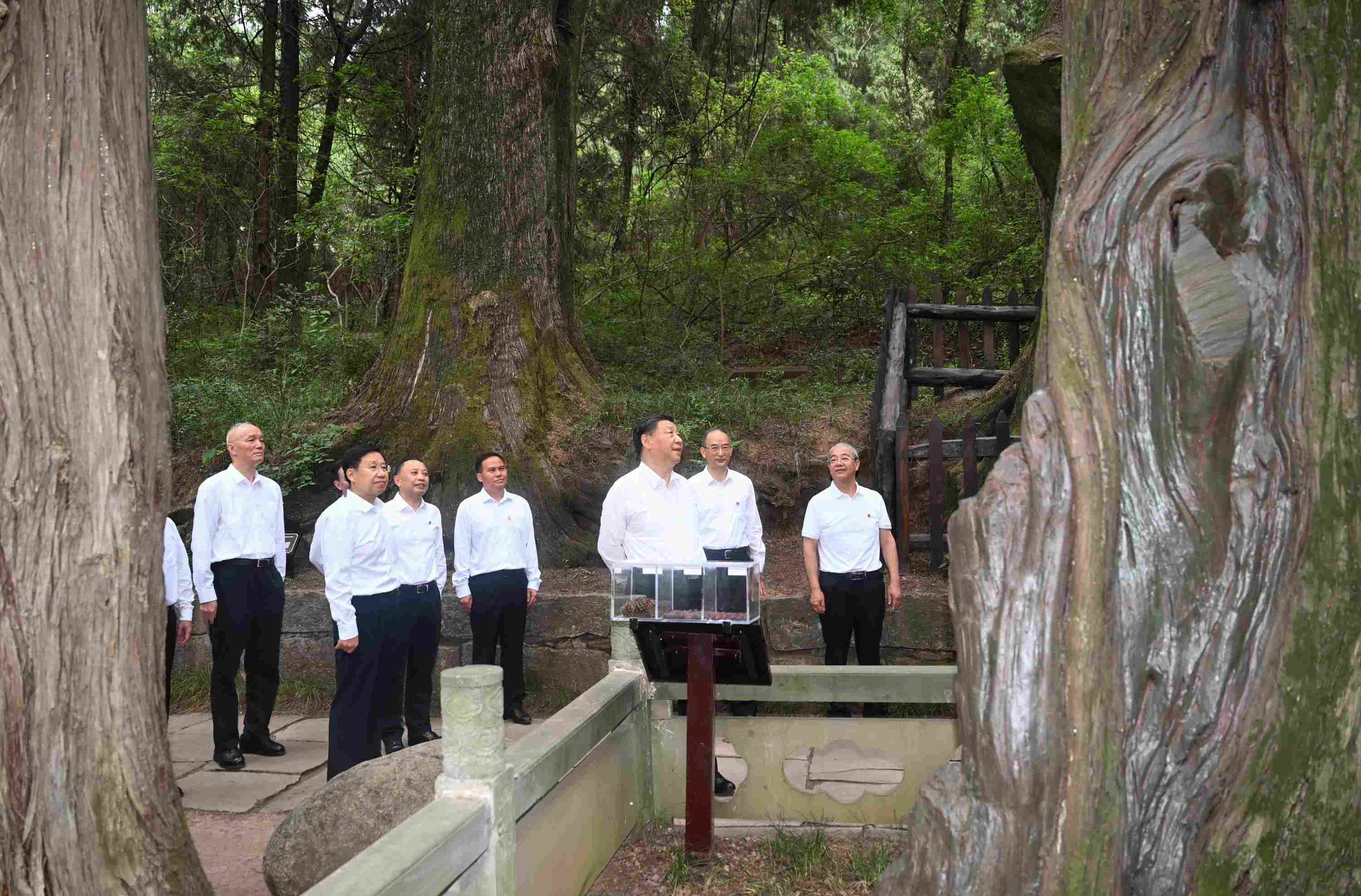 △2023年7月25日，習(xí)近平總書(shū)記在四川省廣元市考察了翠云廊古蜀道，了解當(dāng)?shù)赝七M(jìn)歷史文化傳承、加強(qiáng)生態(tài)文明建設(shè)等情況。