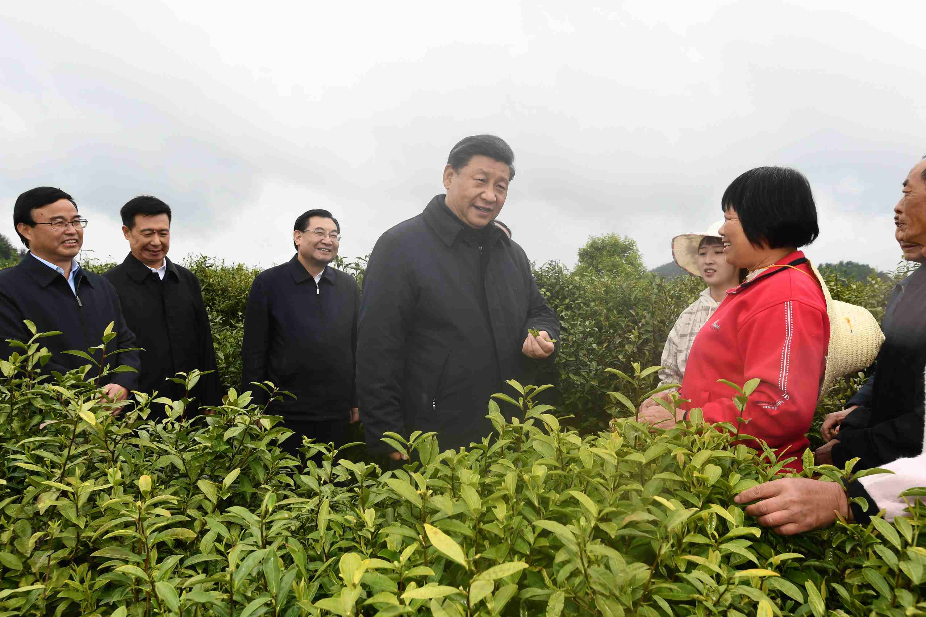 4月20日至23日，中共中央總書記、國家主席、中央軍委主席習(xí)近平在陜西考察。這是4月21日，習(xí)近平在安康市平利縣老縣鎮(zhèn)蔣家坪村女媧鳳凰茶業(yè)現(xiàn)代示范園區(qū)，同茶農(nóng)們親切交談。