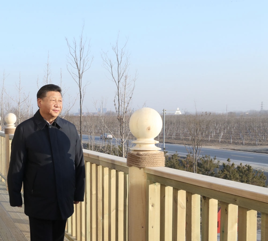 2019年1月16日，習(xí)近平在河北雄安新區(qū)考察調(diào)研。在“千年秀林”大清河片林一區(qū)造林區(qū)域，習(xí)近平登上秀林驛站二層平臺(tái)遠(yuǎn)眺林區(qū)全貌。