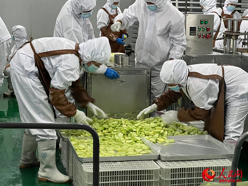 切片哈密瓜將被做成凍干食品。人民網(wǎng)記者 常雪梅攝