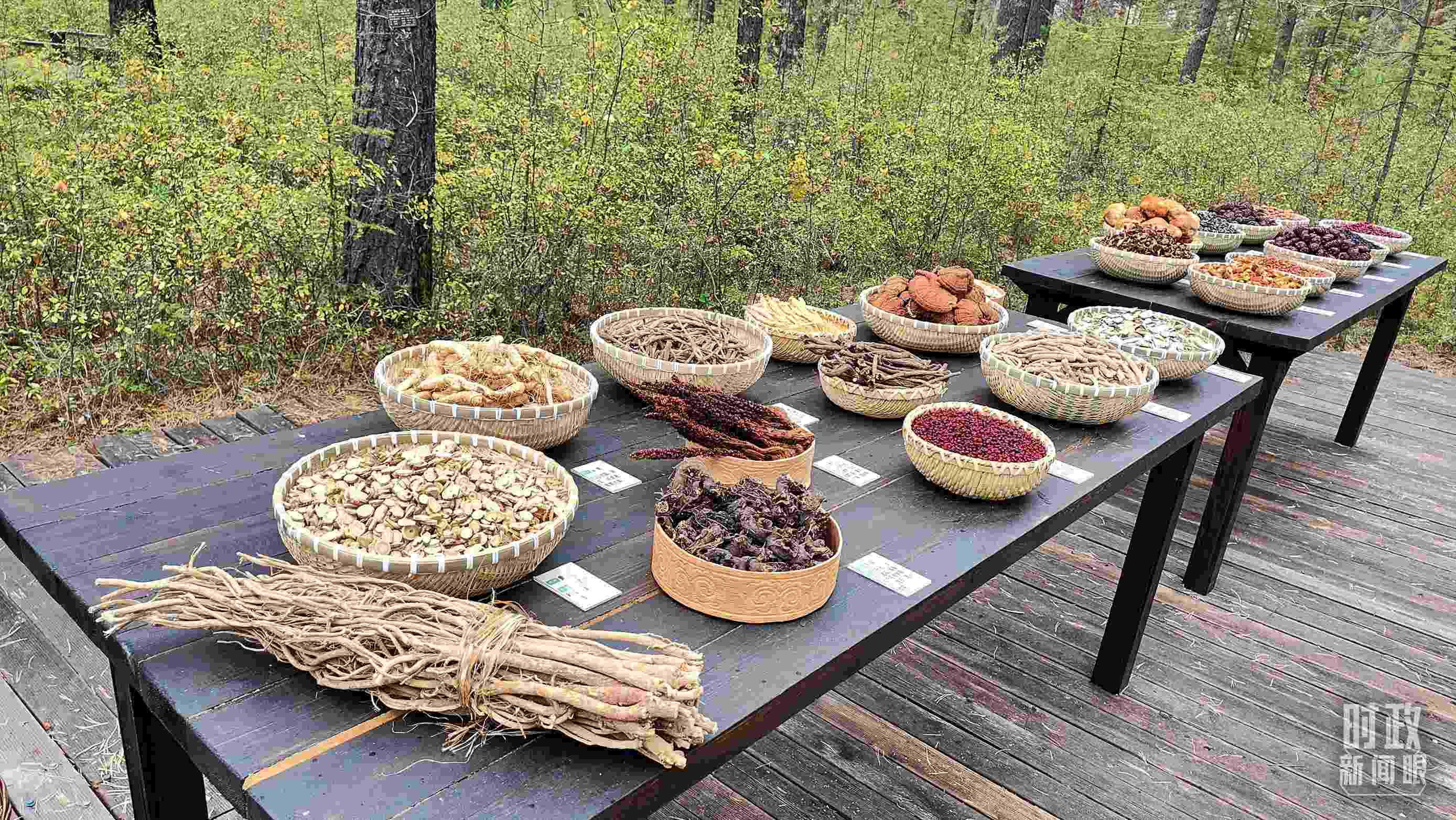 △林場里的食用菌、林果等特產(chǎn)。（總臺央視記者楊立峰拍攝）