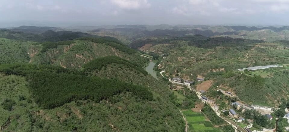 黃土溝壑中的高西溝村滿眼綠色（無(wú)人機(jī)照片，2023年7月26日）。新華社記者陳昌奇 攝