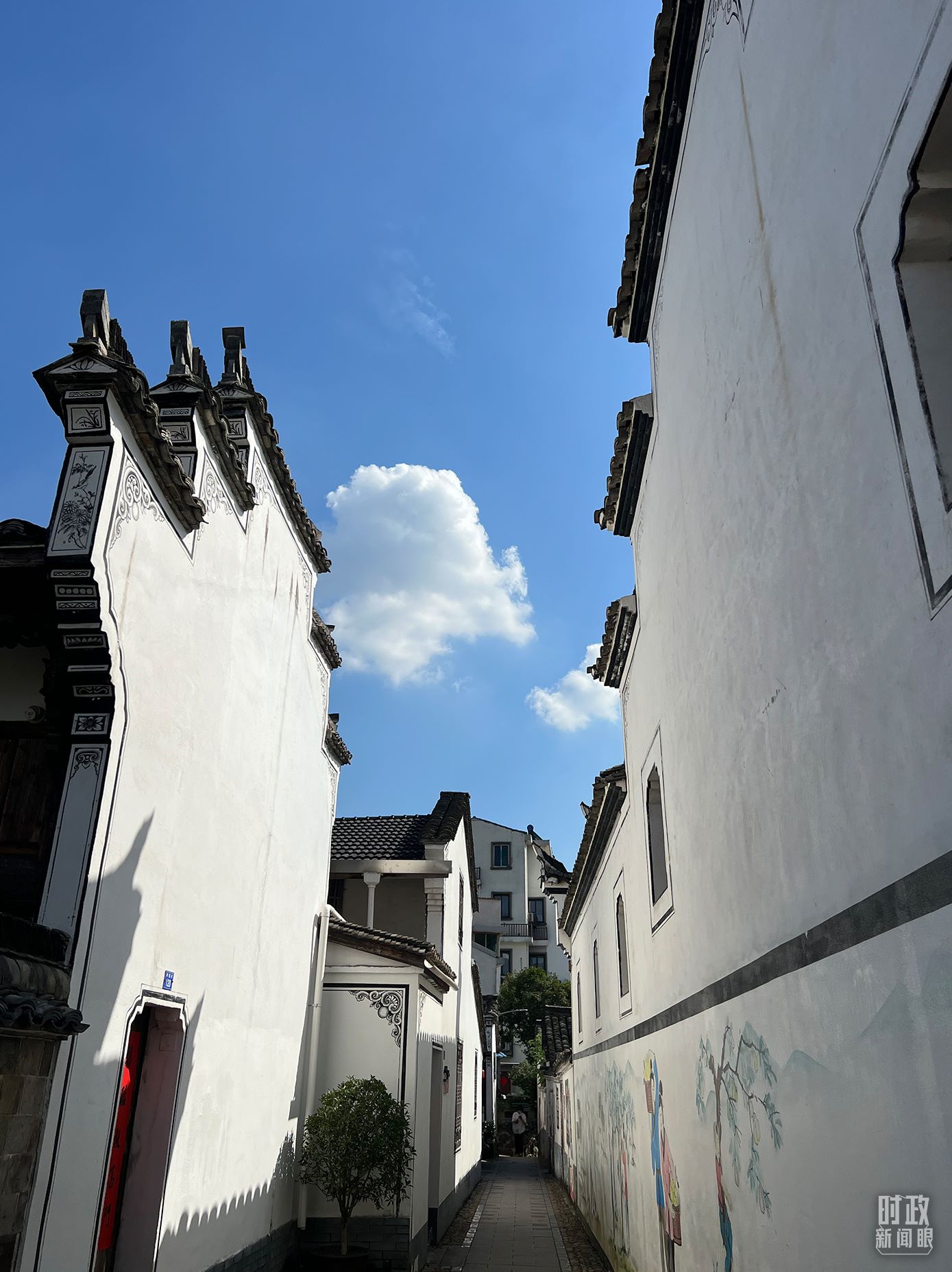 △浙江省金華市義烏市后宅街道李祖村。（總臺(tái)央視記者李煒拍攝）