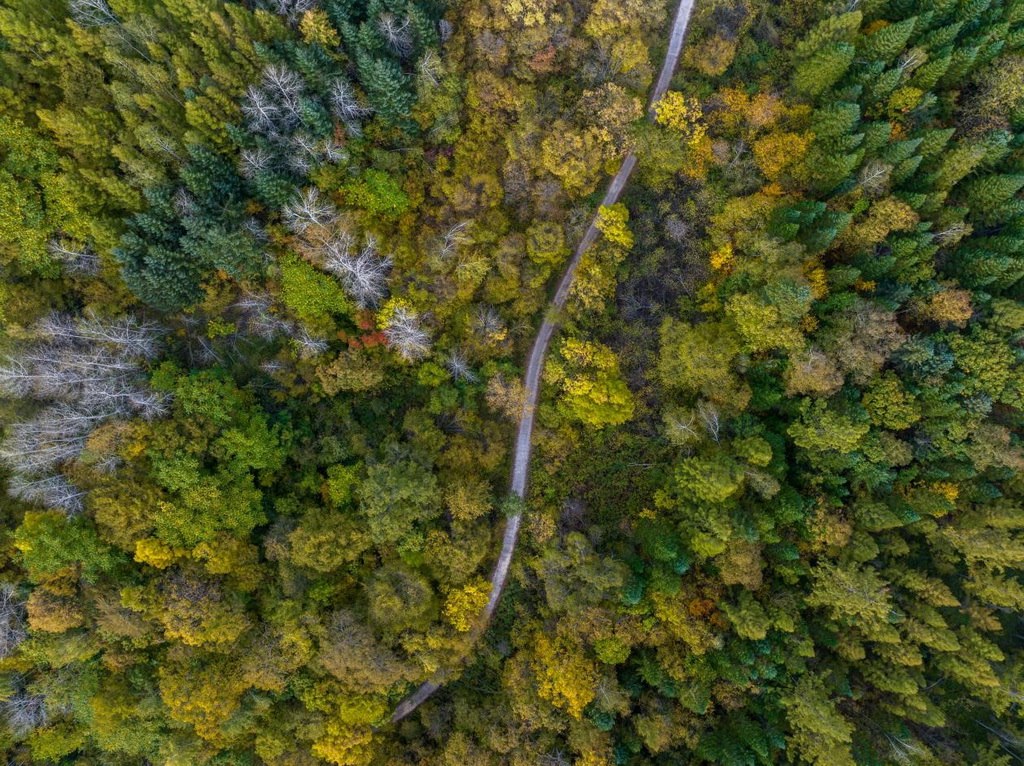 綠意盎然的長白山地區(qū)。王哲攝