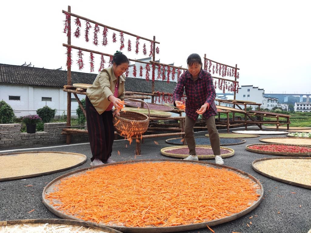 近日，江西省上饒市婺源縣秋口鎮(zhèn)王村的村民正在晾曬農(nóng)作物。新華社記者 劉佳敏 攝