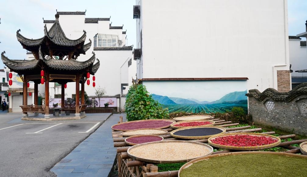 近日拍攝的江西省上饒市婺源縣秋口鎮(zhèn)王村石門自然村曬秋場景。新華社記者 胡晨歡 攝