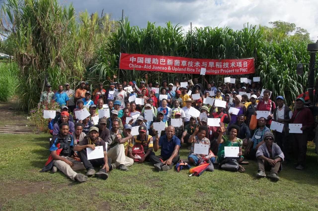 △2020年12月17日，在巴布亞新幾內(nèi)亞?wèn)|高地省，參加中國(guó)援助巴新菌草和旱稻技術(shù)項(xiàng)目第9期培訓(xùn)班的當(dāng)?shù)孛癖娬故窘Y(jié)業(yè)證書(shū)。