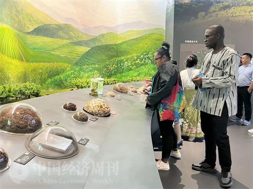  （在中國(guó)藥都中醫(yī)藥博物館，外媒記者了解中醫(yī)藥發(fā)展史。中國(guó)經(jīng)濟(jì)周刊記者 郭志強(qiáng) 攝）