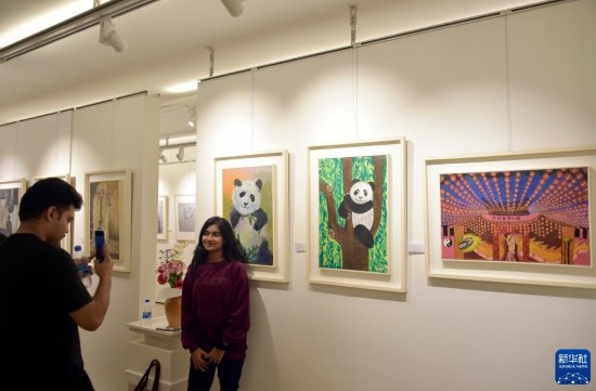 11月22日，在孟加拉國達卡，人們在“國家印象”繪畫展上參觀拍照。新華社發(fā)（薩利姆攝）