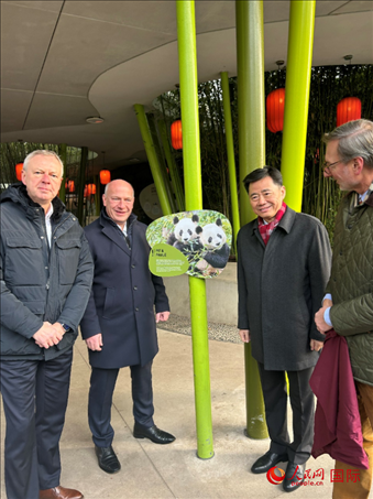中國駐德國大使吳懇（右二）、柏林市長韋格納（左二）、動(dòng)物園園長克尼里姆（右一）和監(jiān)事會(huì)主席布魯克曼（左一）共同為“夢想”“夢圓”大熊貓紀(jì)念牌揭幕。人民網(wǎng)記者 徐馨攝