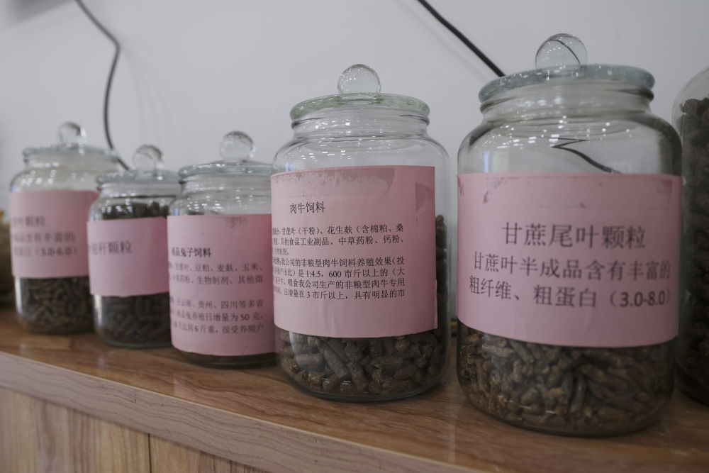 這是12月13日在來賓市興賓區(qū)小平陽鎮(zhèn)一家飼料廠拍攝的以甘蔗尾葉為原料制成的飼料。