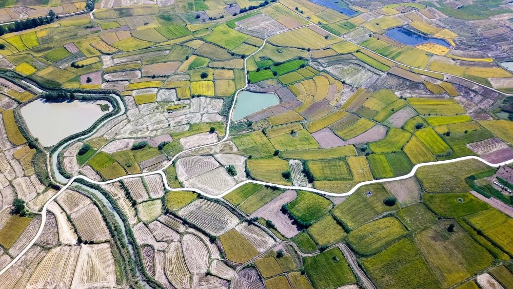 安徽省鳳陽縣小崗村的田野景象（2018年9月27日攝，無人機(jī)照片）。新華社記者 張端 攝