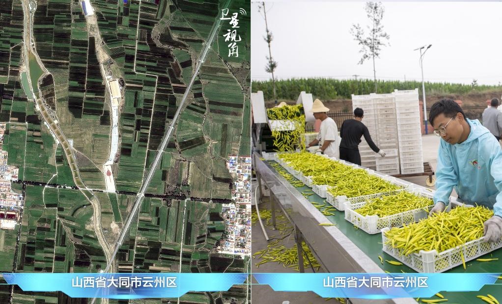 當(dāng)前，大同市開發(fā)黃花菜品、食品、飲品、功能食品、化妝品、文創(chuàng)產(chǎn)品六大系列130余種，全產(chǎn)業(yè)鏈產(chǎn)值超40億元。
