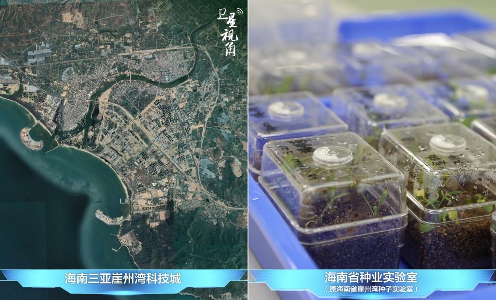 位于三亞崖州灣科技城的海南省種業(yè)實(shí)驗(yàn)室（原海南省崖州灣種子實(shí)驗(yàn)室）將形成輻射全國和“一帶一路”沿線國家的種子科學(xué)技術(shù)創(chuàng)新中心。
