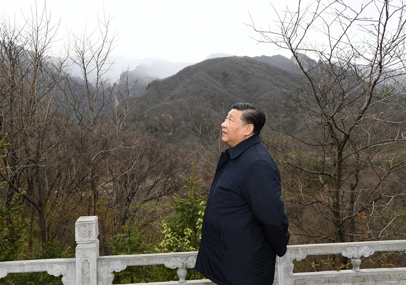 2020年4月20日，習(xí)近平在陜西秦嶺牛背梁國家級自然保護區(qū)，了解秦嶺生態(tài)保護工作情況。