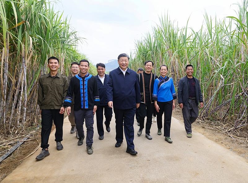 2023年12月14日，習(xí)近平總書記在廣西來賓市國家現(xiàn)代農(nóng)業(yè)產(chǎn)業(yè)園黃安優(yōu)質(zhì)“雙高”糖料蔗基地考察。