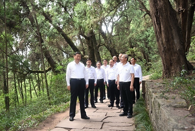 2023年7月25日，習(xí)近平總書記在四川廣元市劍閣縣翠云廊考察。新華社記者 謝環(huán)馳 攝