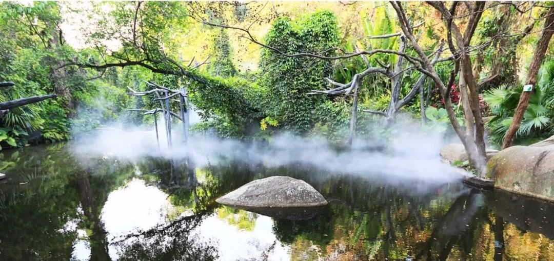 △鼓浪嶼-萬(wàn)石山風(fēng)景名勝區(qū)重要組成部分廈門(mén)園林植物園熱門(mén)景點(diǎn)“雨林世界”。