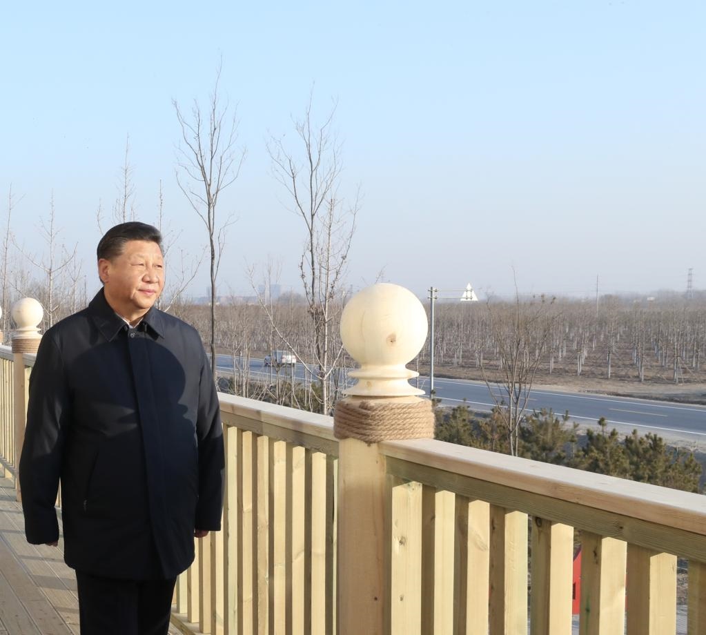 2019年1月16日，在河北雄安新區(qū)“千年秀林”大清河片林一區(qū)造林區(qū)域，習(xí)近平總書記登上秀林驛站二層平臺(tái)遠(yuǎn)眺林區(qū)全貌。新華社記者 鞠鵬 攝