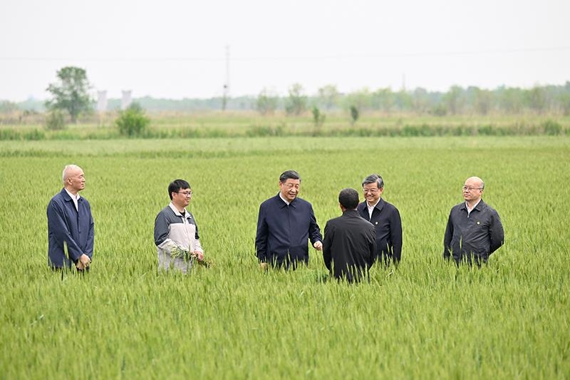 △2023年5月11日，習近平總書記在河北滄州黃驊市舊城鎮(zhèn)仙莊片區(qū)旱堿地麥田同種植戶、農技專家親切交流。