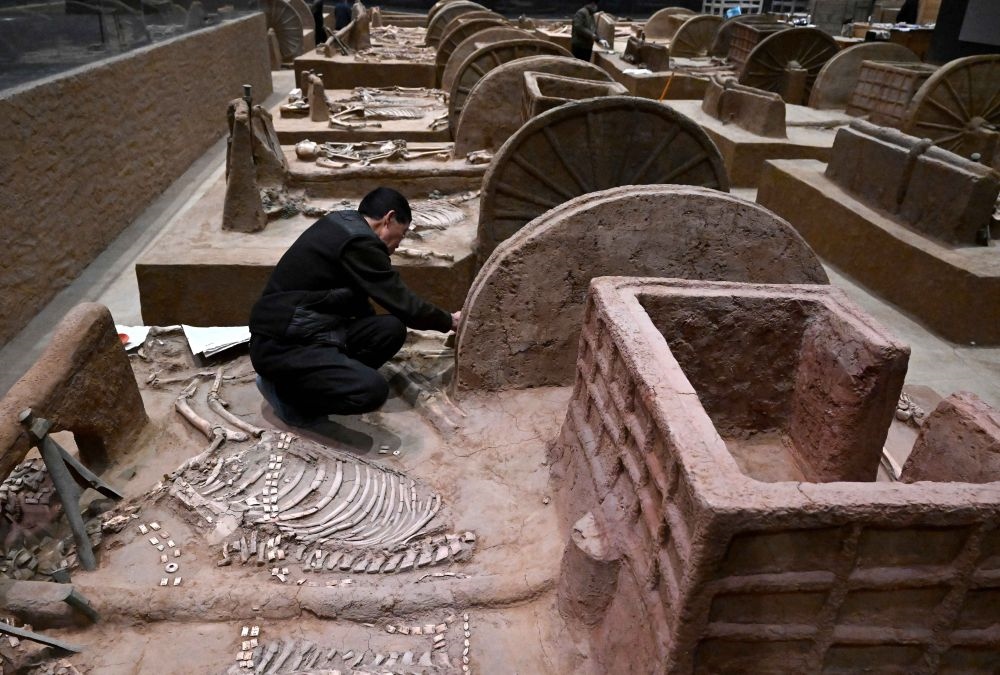 工作人員在殷墟博物館新館的展廳內(nèi)修復(fù)車馬遺跡（2月23日攝）。