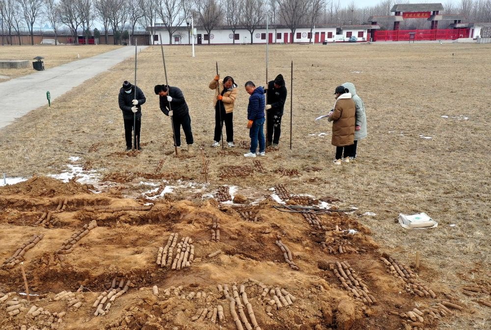 在殷墟王陵遺址，工作人員在勘探圍溝范圍（2月24日攝）。